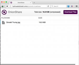 onionshare-web-300x249.png